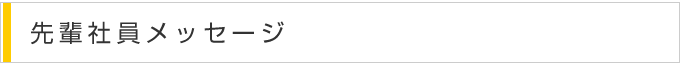 先輩社員メッセージ